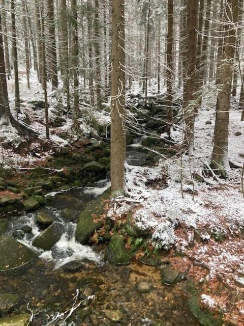 شقة Harrachov 702 المظهر الخارجي الصورة